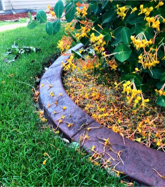 Why choose us for Landscape Curbing in Greeley CO